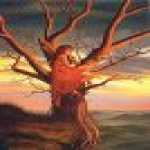 thumb_1315 (Medium).jpg